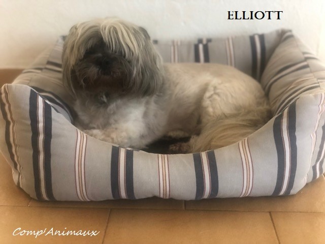 Elliott 