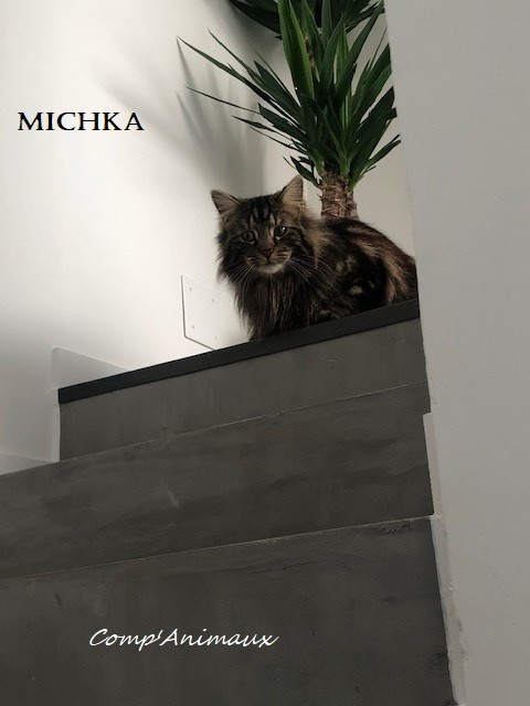 Michka 