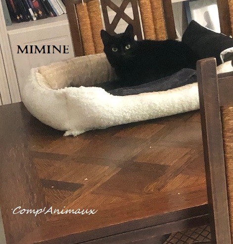 Mimine 