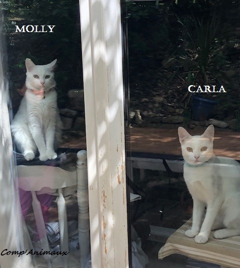 Molly et Carla