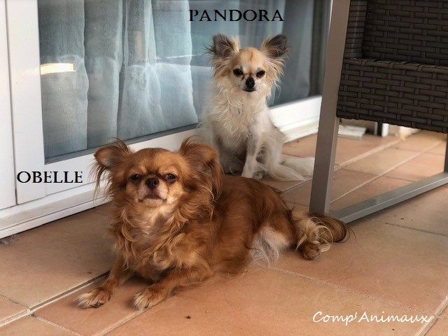 Obelle et Pandora 