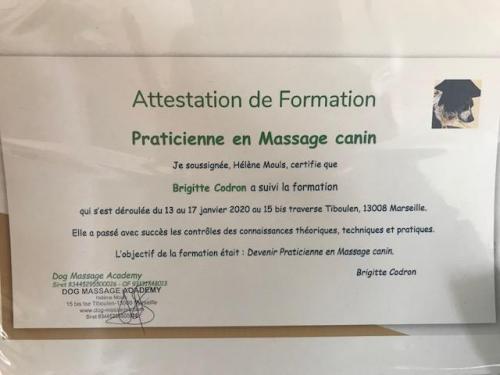 Certificat massage canin