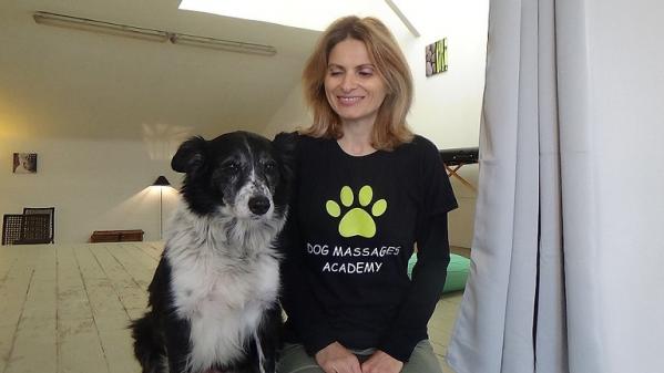 Dog massages academy